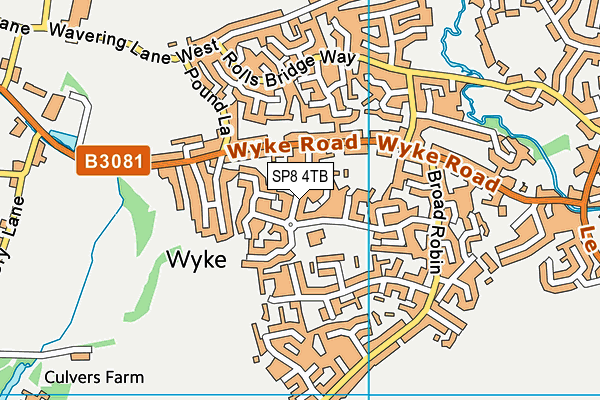 SP8 4TB map - OS VectorMap District (Ordnance Survey)