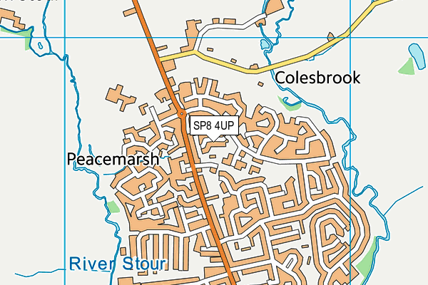 SP8 4UP map - OS VectorMap District (Ordnance Survey)