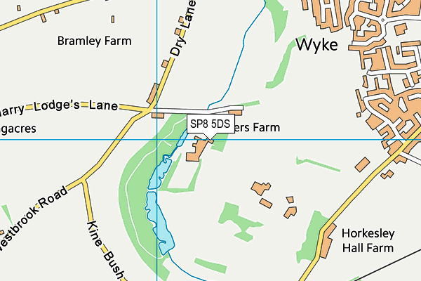 SP8 5DS map - OS VectorMap District (Ordnance Survey)