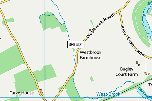 SP8 5DT map - OS VectorMap District (Ordnance Survey)