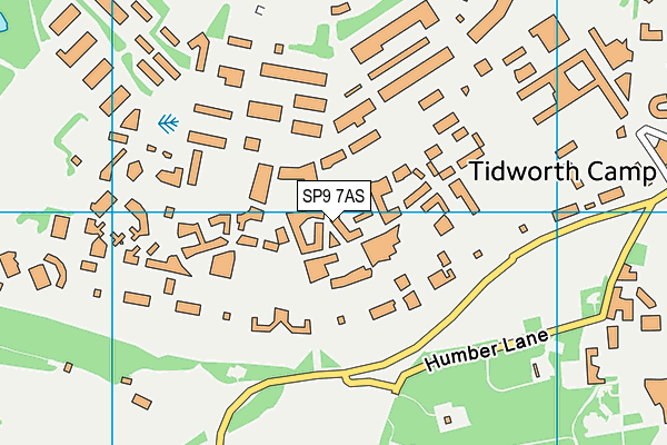 SP9 7AS map - OS VectorMap District (Ordnance Survey)