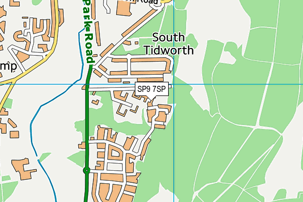 SP9 7SP map - OS VectorMap District (Ordnance Survey)