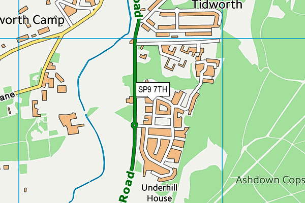 SP9 7TH map - OS VectorMap District (Ordnance Survey)