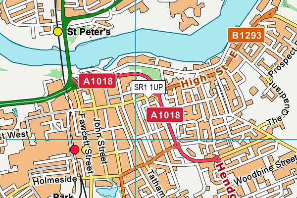 SR1 1UP map - OS VectorMap District (Ordnance Survey)