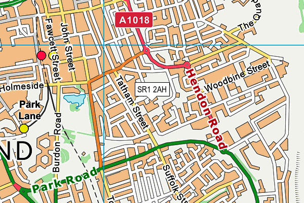 Hudson Road Primary School map (SR1 2AH) - OS VectorMap District (Ordnance Survey)