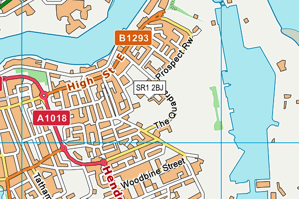 SR1 2BJ map - OS VectorMap District (Ordnance Survey)