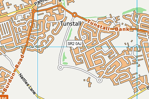 SR2 0AJ map - OS VectorMap District (Ordnance Survey)