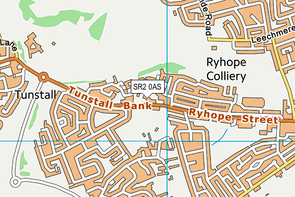 Ryhope Recreation Park map (SR2 0AS) - OS VectorMap District (Ordnance Survey)