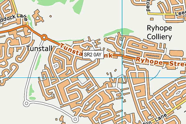 SR2 0AY map - OS VectorMap District (Ordnance Survey)