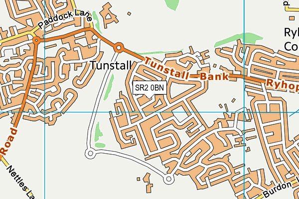 SR2 0BN map - OS VectorMap District (Ordnance Survey)