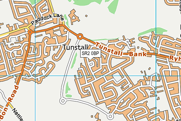 SR2 0BP map - OS VectorMap District (Ordnance Survey)