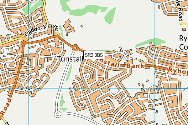 SR2 0BS map - OS VectorMap District (Ordnance Survey)