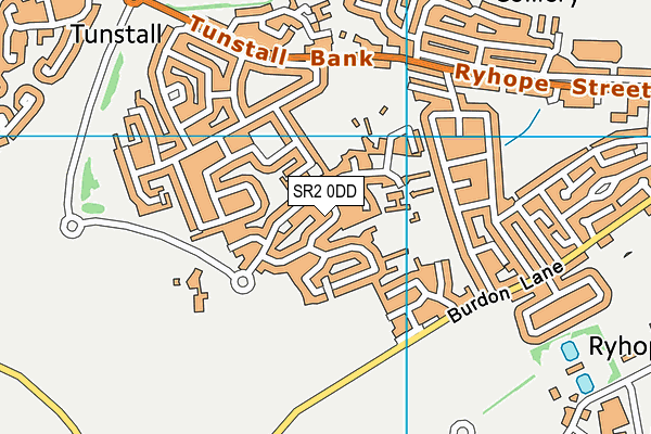 SR2 0DD map - OS VectorMap District (Ordnance Survey)