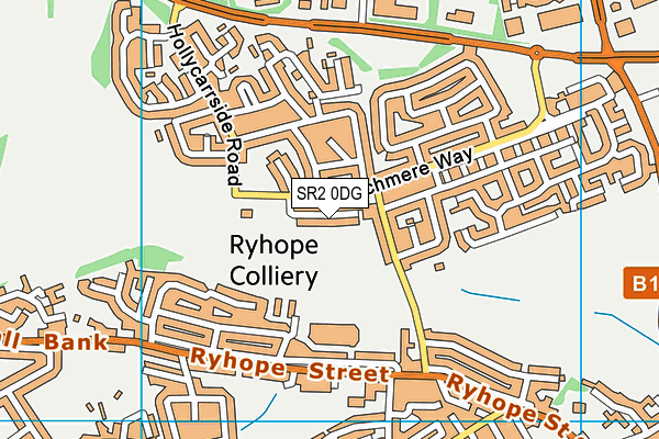 SR2 0DG map - OS VectorMap District (Ordnance Survey)