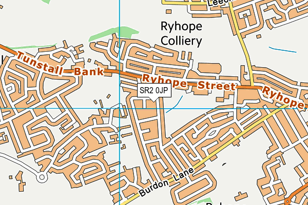 SR2 0JP map - OS VectorMap District (Ordnance Survey)