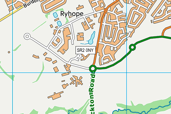 SR2 0NY map - OS VectorMap District (Ordnance Survey)