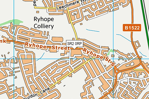 SR2 0RP map - OS VectorMap District (Ordnance Survey)