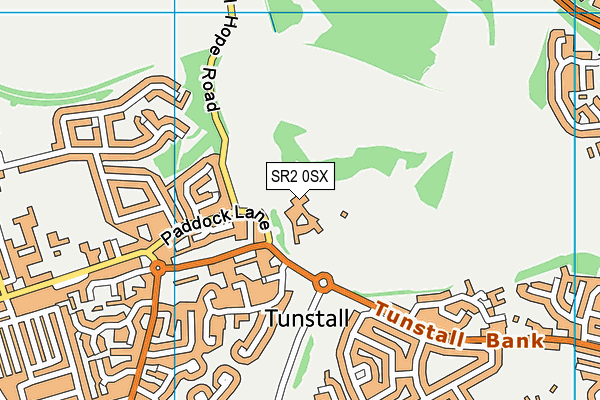 SR2 0SX map - OS VectorMap District (Ordnance Survey)