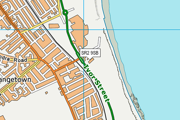 SR2 9SB map - OS VectorMap District (Ordnance Survey)