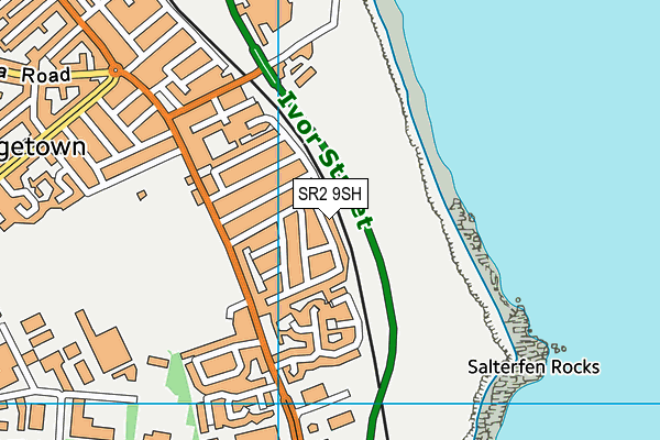 SR2 9SH map - OS VectorMap District (Ordnance Survey)
