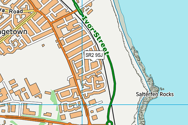 SR2 9SJ map - OS VectorMap District (Ordnance Survey)