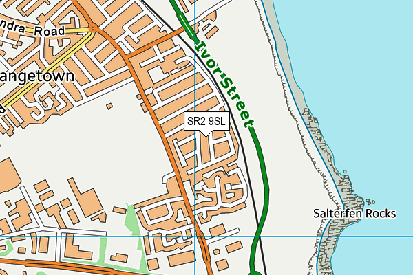 SR2 9SL map - OS VectorMap District (Ordnance Survey)