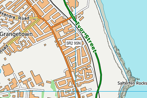 SR2 9SN map - OS VectorMap District (Ordnance Survey)