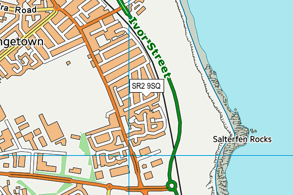 SR2 9SQ map - OS VectorMap District (Ordnance Survey)