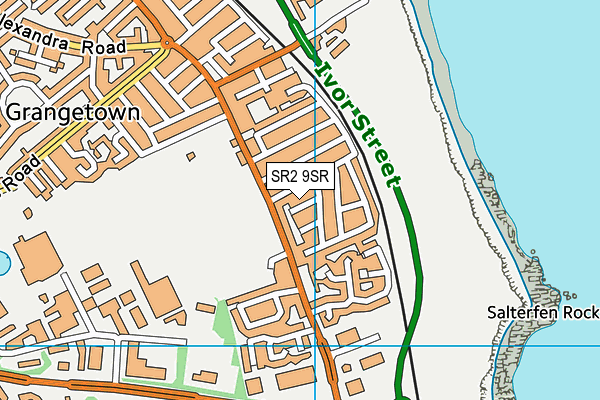 SR2 9SR map - OS VectorMap District (Ordnance Survey)
