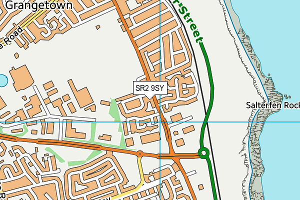 SR2 9SY map - OS VectorMap District (Ordnance Survey)