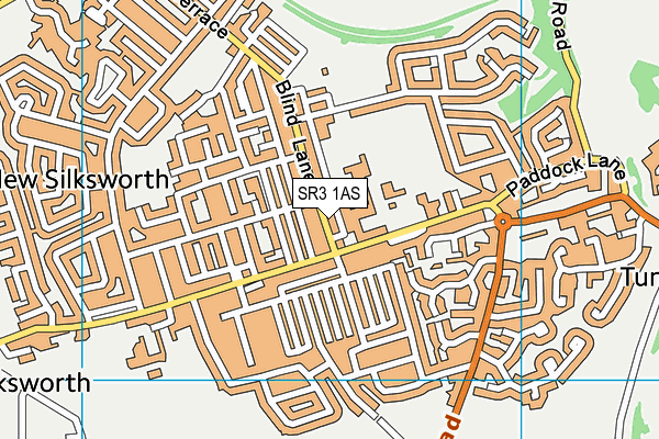 New Silksworth Academy Junior map (SR3 1AS) - OS VectorMap District (Ordnance Survey)