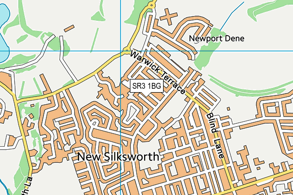 SR3 1BG map - OS VectorMap District (Ordnance Survey)