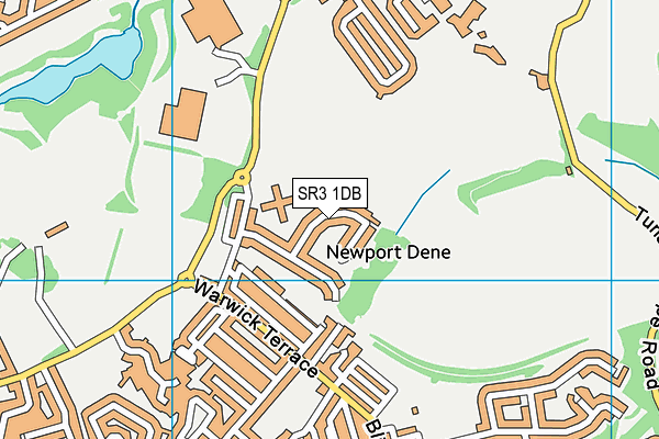 SR3 1DB map - OS VectorMap District (Ordnance Survey)