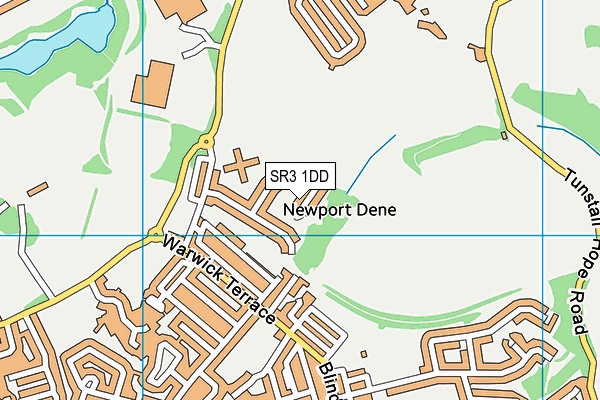 SR3 1DD map - OS VectorMap District (Ordnance Survey)