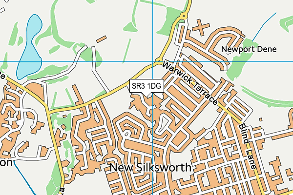 SR3 1DG map - OS VectorMap District (Ordnance Survey)