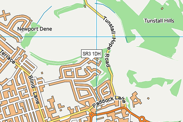 SR3 1DH map - OS VectorMap District (Ordnance Survey)
