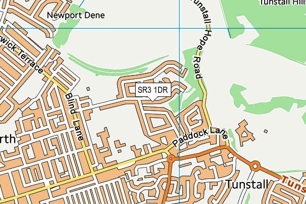 SR3 1DR map - OS VectorMap District (Ordnance Survey)