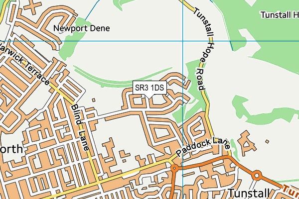SR3 1DS map - OS VectorMap District (Ordnance Survey)