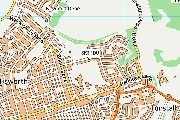 SR3 1DU map - OS VectorMap District (Ordnance Survey)