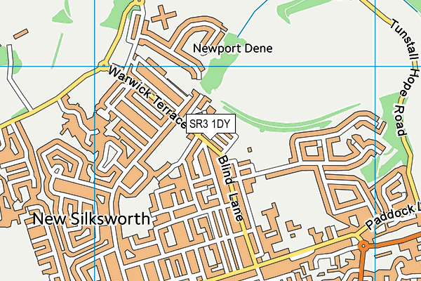 SR3 1DY map - OS VectorMap District (Ordnance Survey)