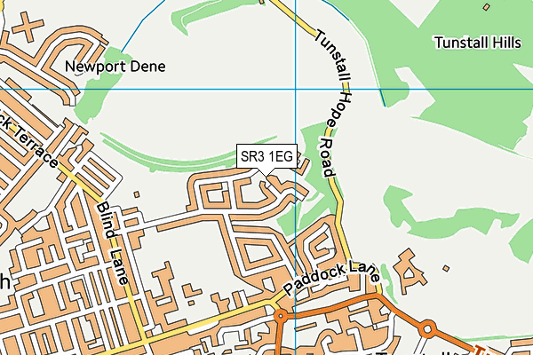 SR3 1EG map - OS VectorMap District (Ordnance Survey)