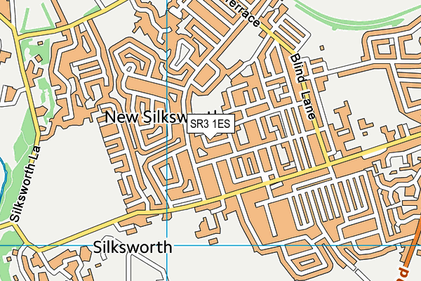 SR3 1ES map - OS VectorMap District (Ordnance Survey)