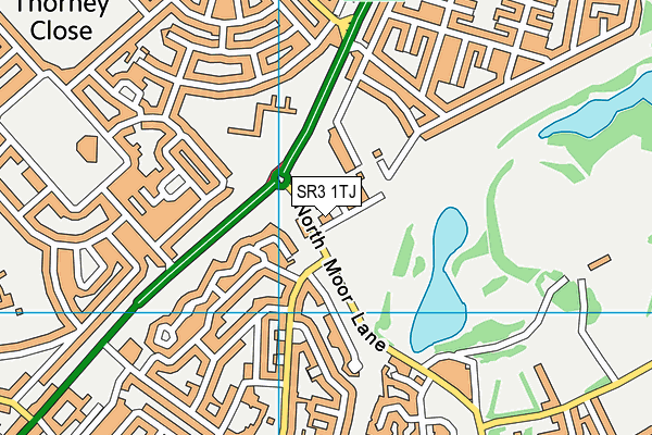 SR3 1TJ map - OS VectorMap District (Ordnance Survey)