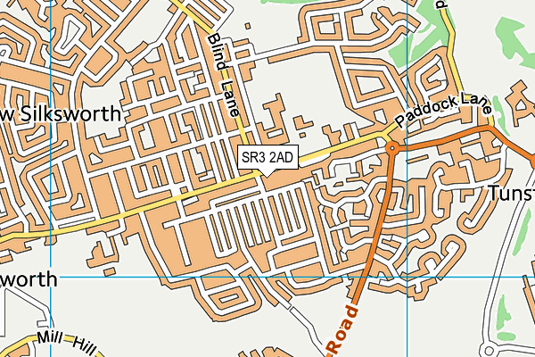 SR3 2AD map - OS VectorMap District (Ordnance Survey)