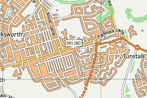 SR3 2BD map - OS VectorMap District (Ordnance Survey)
