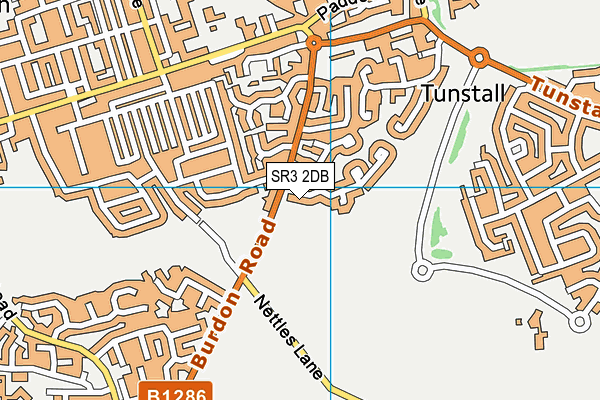 SR3 2DB map - OS VectorMap District (Ordnance Survey)