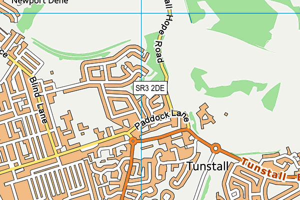 SR3 2DE map - OS VectorMap District (Ordnance Survey)