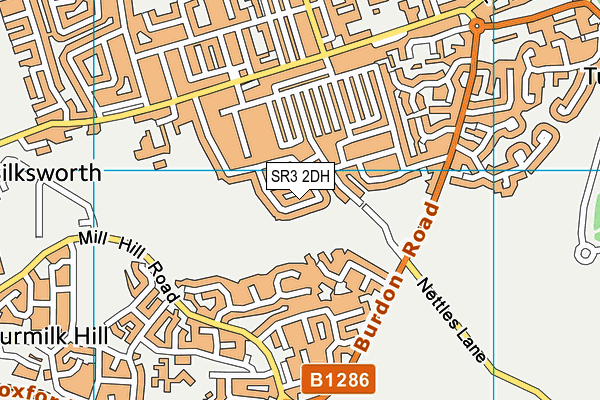 SR3 2DH map - OS VectorMap District (Ordnance Survey)