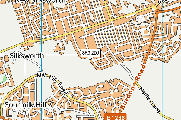 SR3 2DJ map - OS VectorMap District (Ordnance Survey)