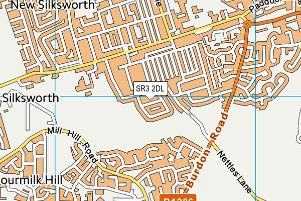 SR3 2DL map - OS VectorMap District (Ordnance Survey)